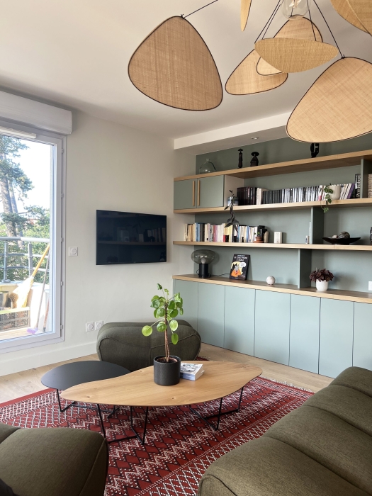 Bibliothèque et télévision